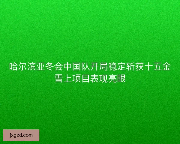 哈尔滨亚冬会中国队开局稳定斩获十五金雪上项目表现亮眼 哈尔滨亚冬会中国队开局稳定斩获十五金雪上项目表现亮眼